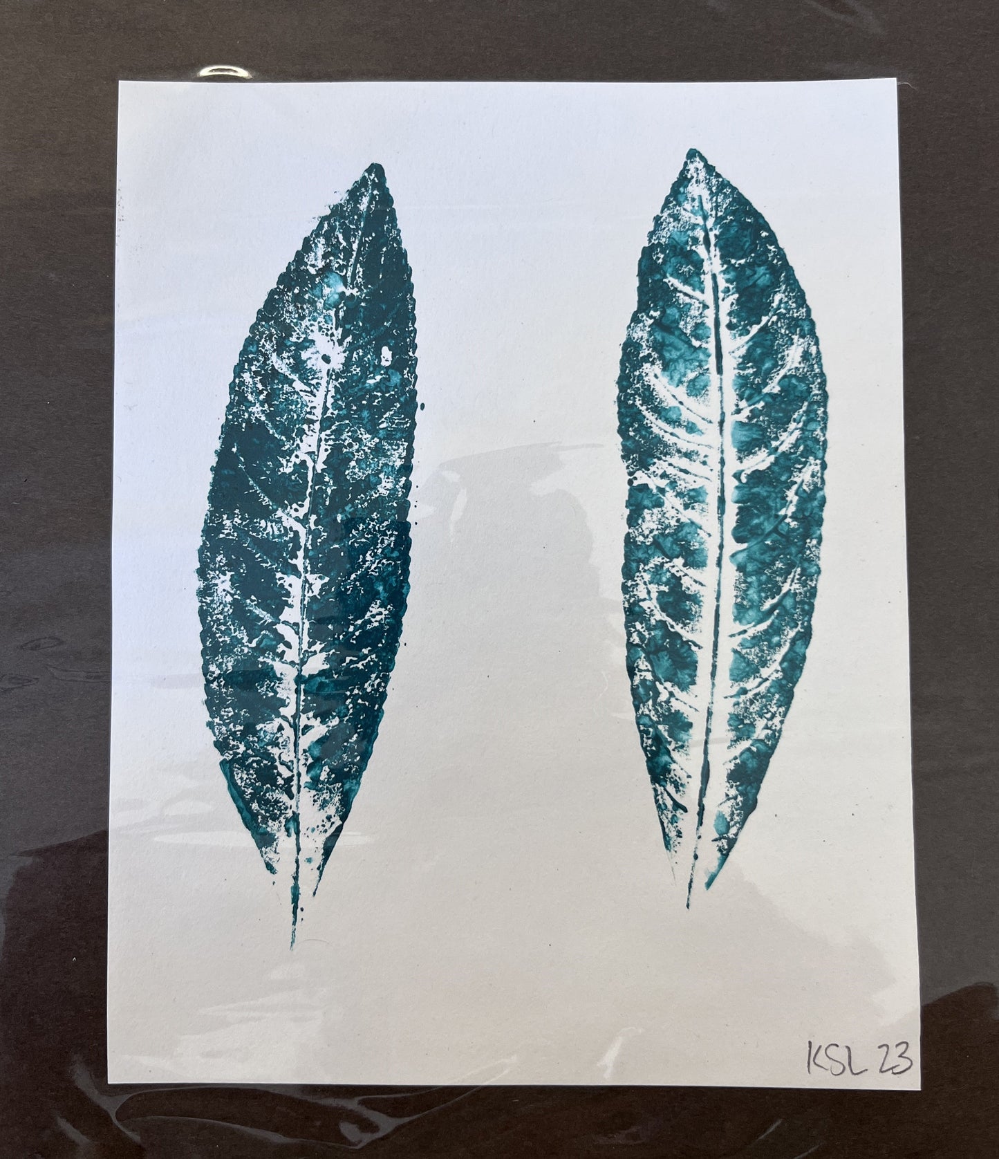 Kirsty Leishman - Blue Quandong x 2